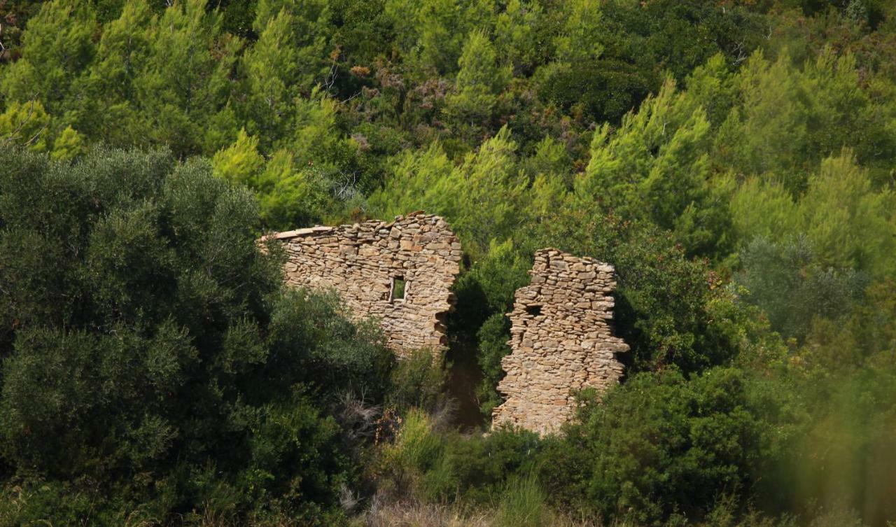 Simple Home La Cadiere-d'Azur Bagian luar foto